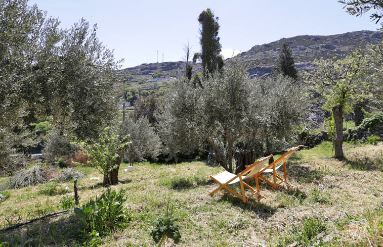 Natuurhuisje in Andros Cyclades