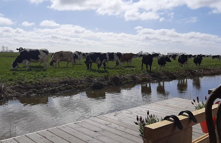 Natuurhuisje in Hitzum