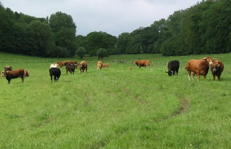 Natuurhuisje in Gulpen-Euverum