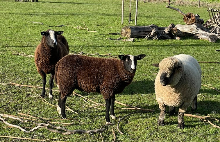 Natuurhuisje in Vrouwenpolder