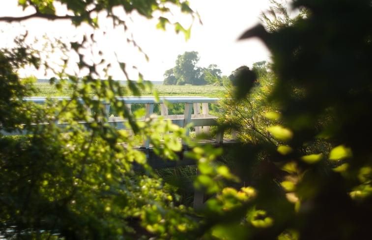 Natuurhuisje in Wijnaldum