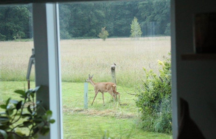 Natuurhuisje in Hall