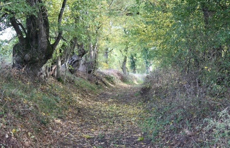 Natuurhuisje in St. Eutrope de Born