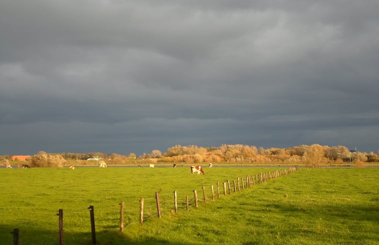 Natuurhuisje in Zalk