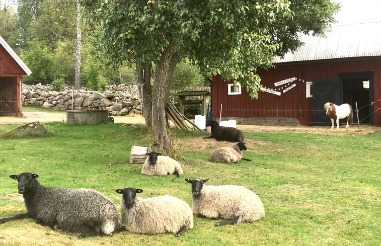 Natuurhuisje in Tingsryd