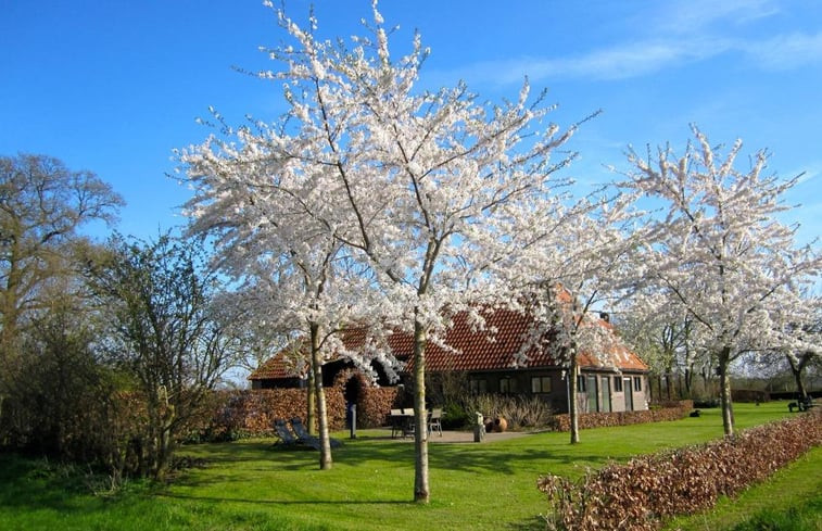 Natuurhuisje in Harfsen