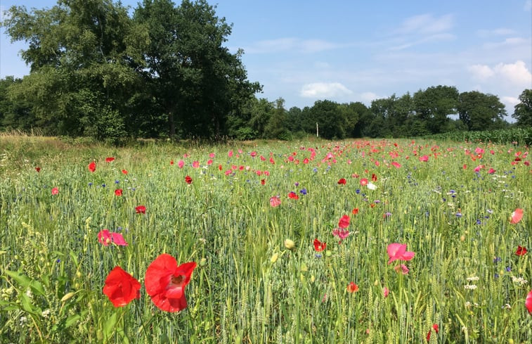 Natuurhuisje in Norg