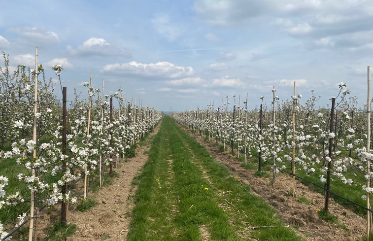 Natuurhuisje in Nideggen-Berg