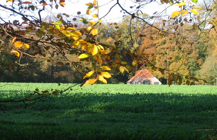 Natuurhuisje in Hengelo Gld