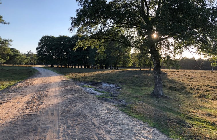 Natuurhuisje in Wezep