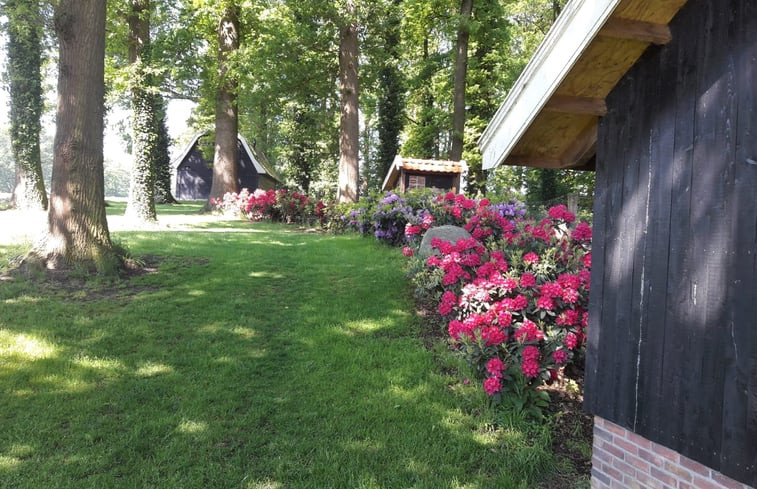 Natuurhuisje in Ootmarsum