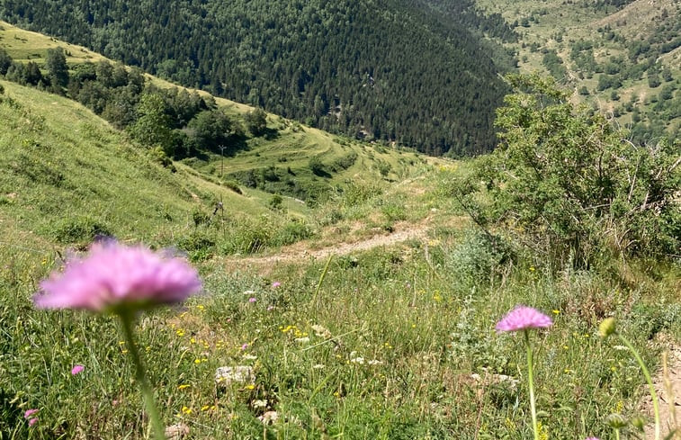 Natuurhuisje in Vernet les Bains