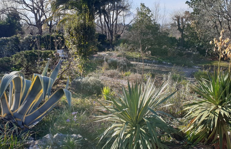 Natuurhuisje in CHATEAUNEUF GRASSE