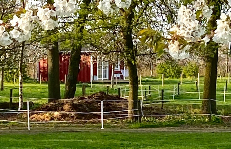 Natuurhuisje in Heijen