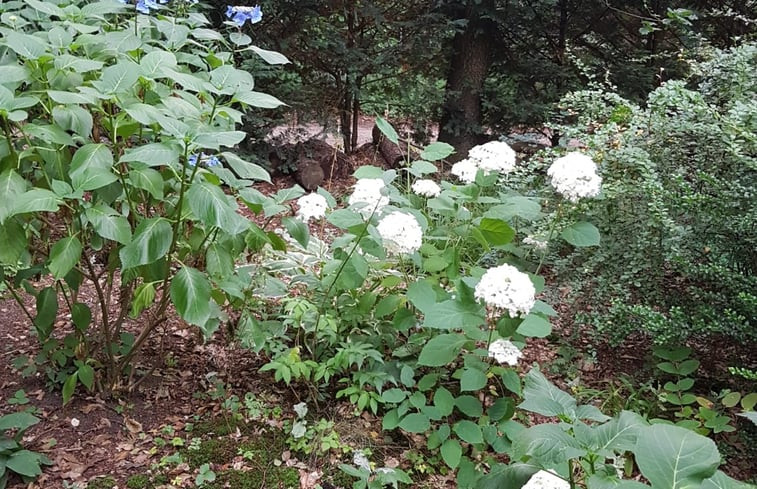 Natuurhuisje in Groesbeek