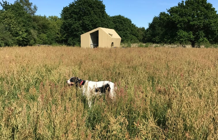 Natuurhuisje in Mantinge