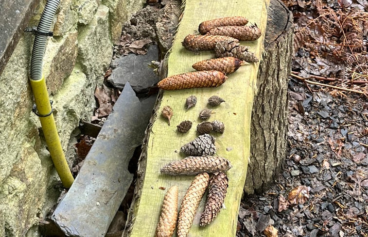 Natuurhuisje in Oignies-en-Thiérache