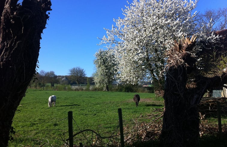 Natuurhuisje in Mechelen