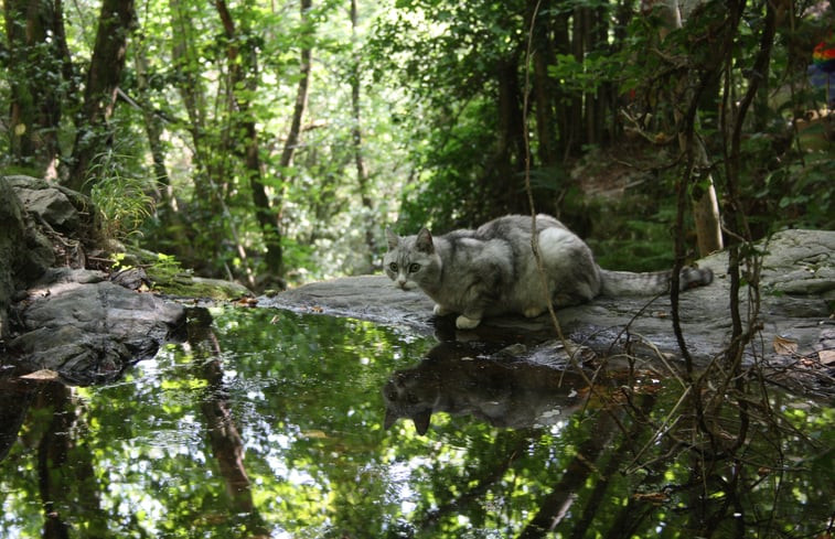 Natuurhuisje in vialas