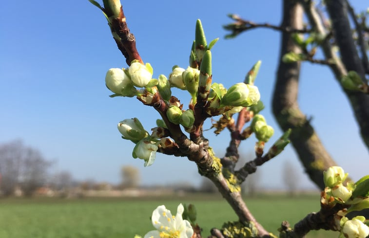 Natuurhuisje in Alphen aan den Rijn