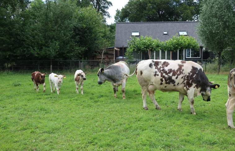 Natuurhuisje in Rijsbergen