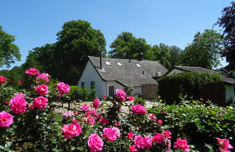 Natuurhuisje in Well