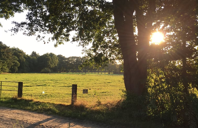 Natuurhuisje in Emst