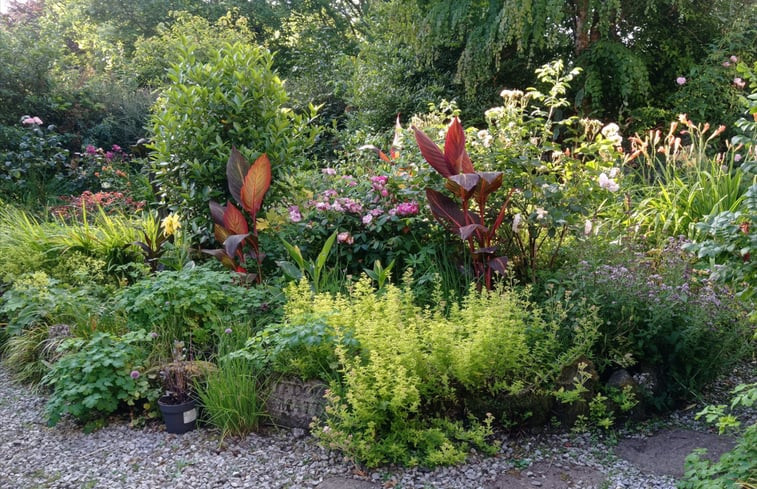 Natuurhuisje in Foxford