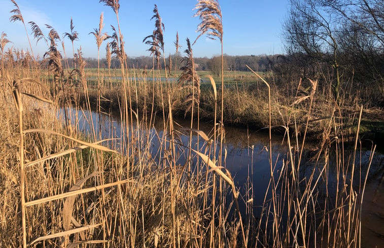 Natuurhuisje in IJhorst