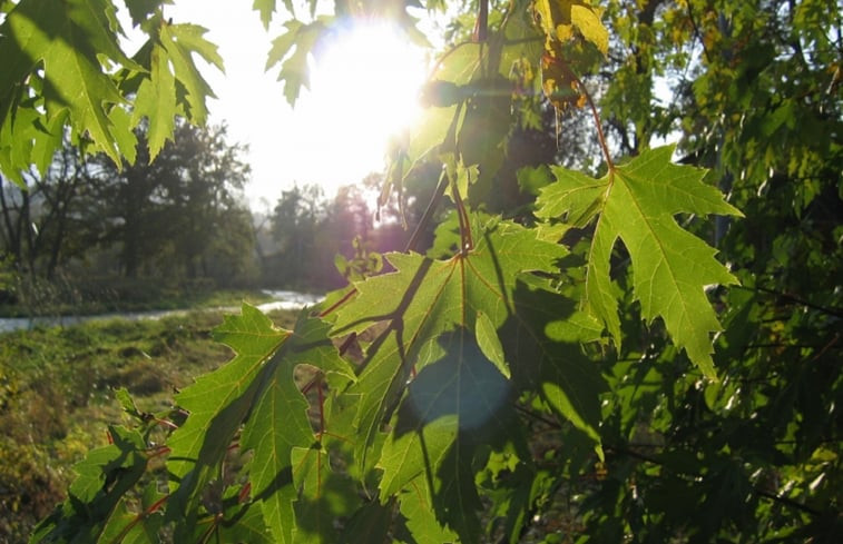 Natuurhuisje in Janowice Wielkie