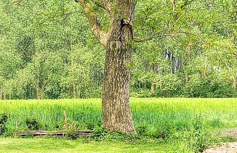 Natuurhuisje in Assenede