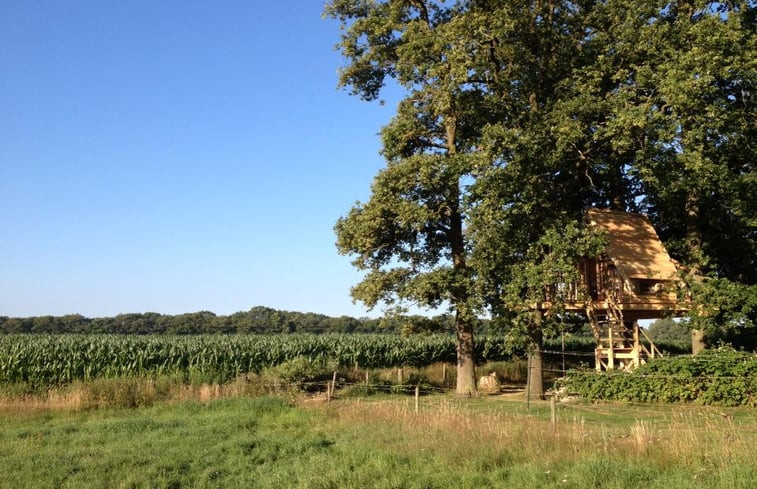 Natuurhuisje in Haarlo