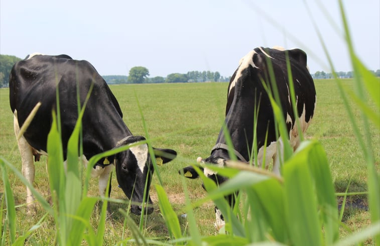 Natuurhuisje in Genderen