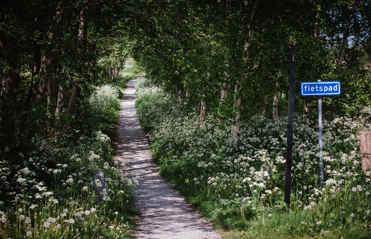 Natuurhuisje in Ossenzijl