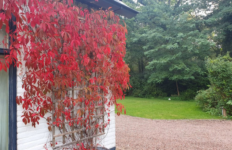 Natuurhuisje in Vorden