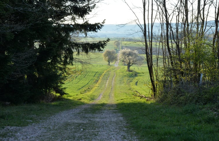 Natuurhuisje in Grandrupt de Bains