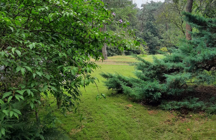 Natuurhuisje in St Oedenrode