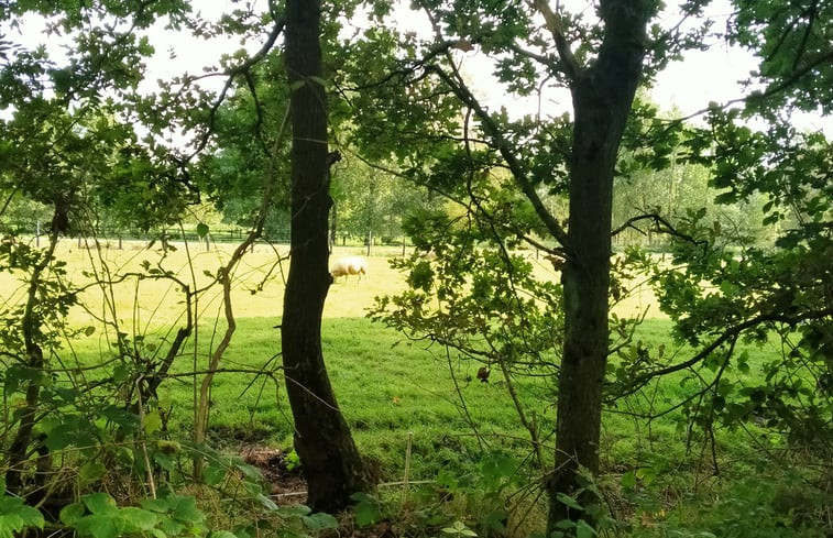 Natuurhuisje in Kollumerzwaag