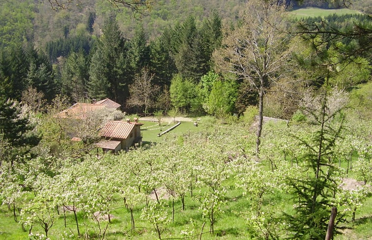 Natuurhuisje in Camaldoli - Parco Nazionale Foreste Casentinesi