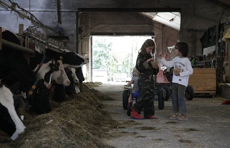 Natuurhuisje in Heeten