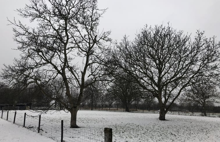 Natuurhuisje in Driewegen