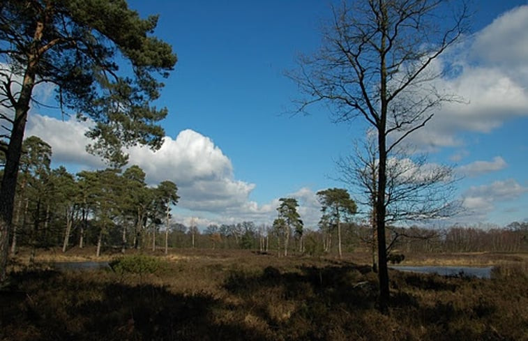 Natuurhuisje in Borculo