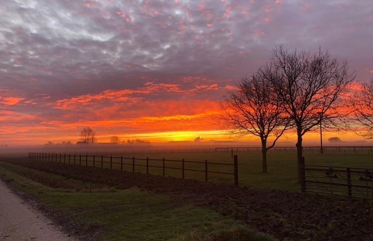 Natuurhuisje in Kamperland