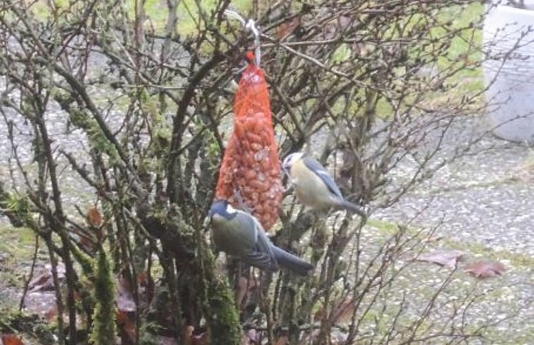 Natuurhuisje in Winterswijk