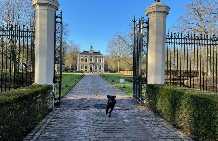 Natuurhuisje in Laag Zuthem