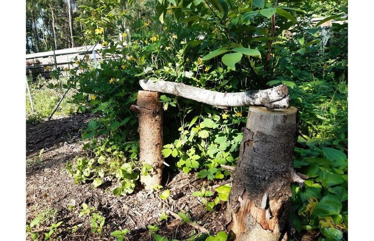 Natuurhuisje in Nederweert Eind