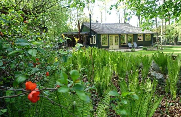 Natuurhuisje in Zuidwolde