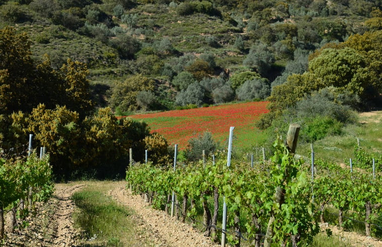 Natuurhuisje in Hoz de Barbastro