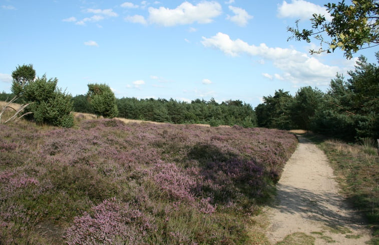 Natuurhuisje in Lemele