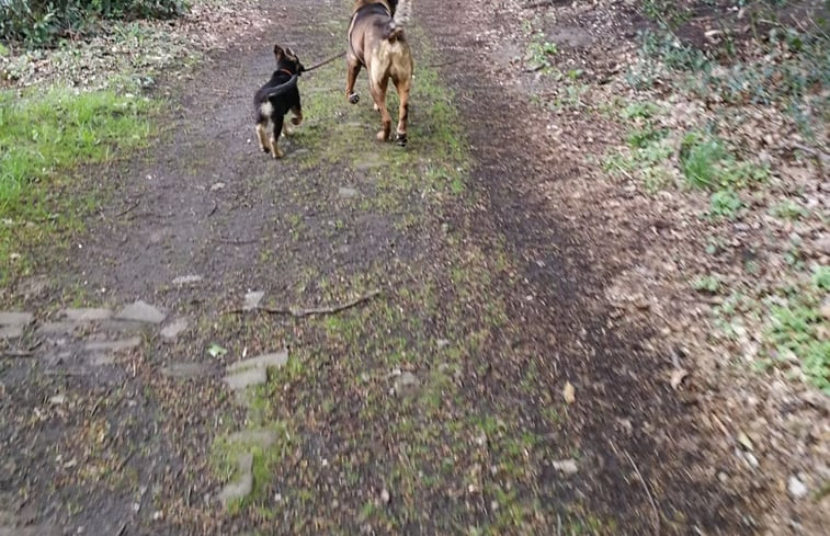 Natuurhuisje in Enschede